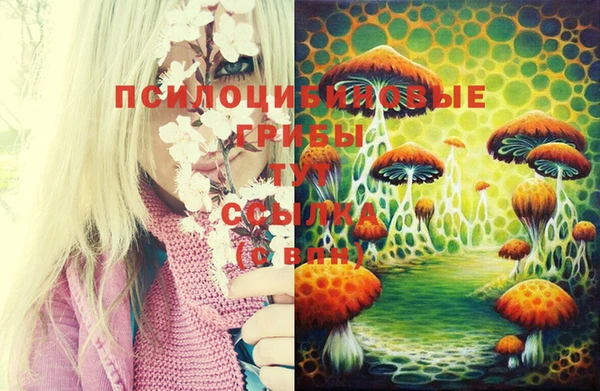 ешки Зеленокумск