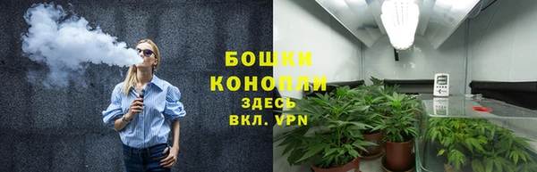 spice Рославль